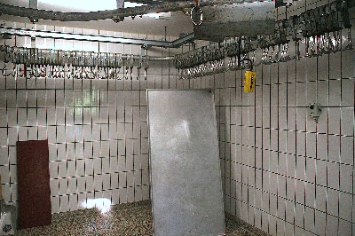 Vorbildliche Wildkammer im Großrevier (Schönbuch)