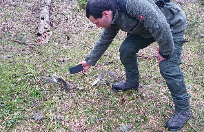Überreste: Riss eines Auerhahns am Feldberg