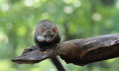 Foto: Claudia Reinöhl