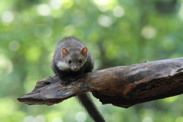 Foto: Claudia Reinöhl