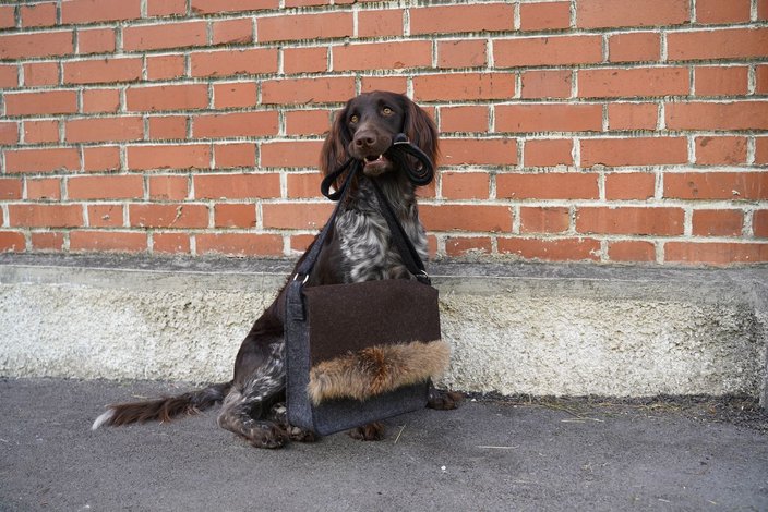 Foto: Sophia Lorenzoni